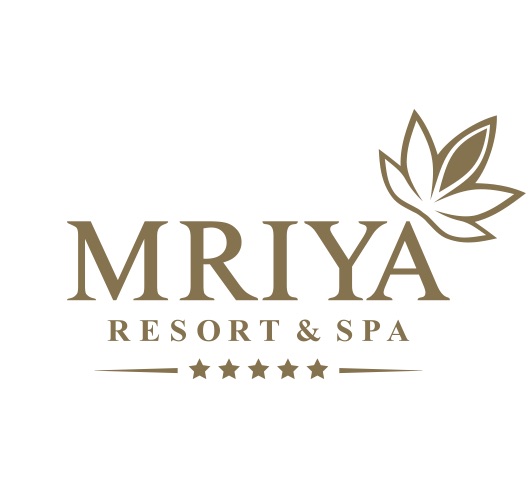 Отель Mriya